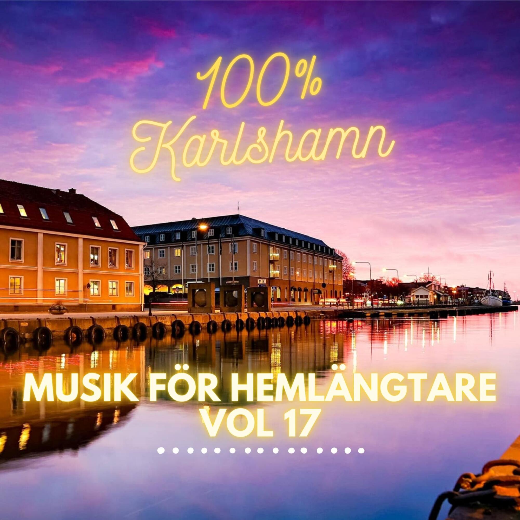 Musik för hemlängtare vol 17