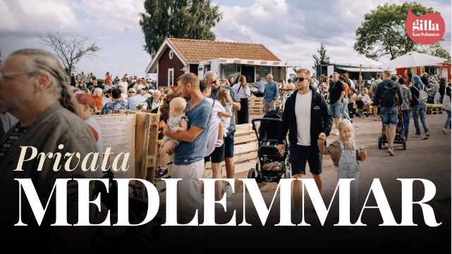 Skärmavbild 2025-12-01 kl. 16.56.39